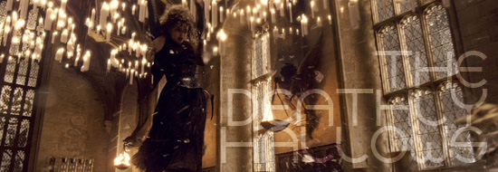 Bellatrix Lestrange and the Deathly Hallows