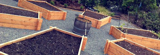 A Day in the Life of a WWOOF-er A Day in the Life of a WWOOF-er